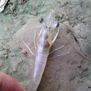 6��3-7�Ռ��r�܈���⮐�� ��������