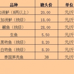 2013��6��14�������ǵ؅^(q��)�����|�Z�~���~�ȃr(ji��)������