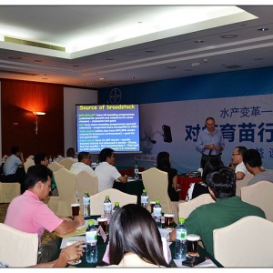 SPT�H�r����δ���Ї����r�İlչ����