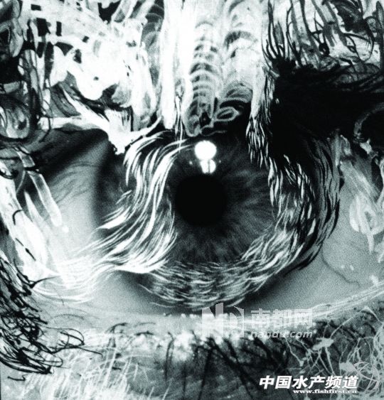 �ϰ��p���a�^�Bֳ�����˹���B��ʯ���~��ʯ���~���L�����L�����~�絽�L������������Գ��ۣ�������Ҫ����r�g��