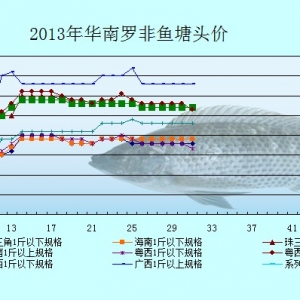 6��24-28���_���~�r�������܈�