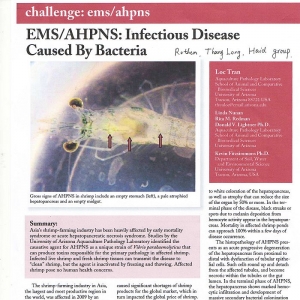 GAAԭ�Ľ���: ��(x��)�������EMS/AHPNS