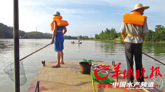 6�����������_���S�(zh��n)����(d��ng)���Ҵ�ֻ��ƽ������~