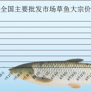 2013��7��18��ȫ����Ҫ���l�Ј�����~�r������