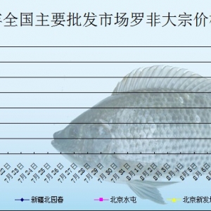 2013��7��19��ȫ����Ҫ���l�Ј��_���~�r������