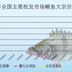 2013��7��19��ȫ����Ҫ���l�Ј����Z�~�r������