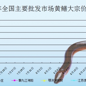 2013��7��19��ȫ����Ҫ���l�Ј��S�X�r������