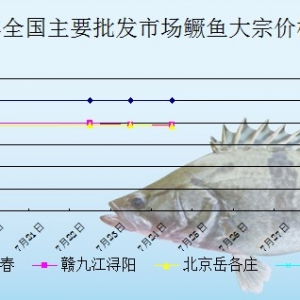 2013��7��24��ȫ����Ҫ���l�Ј��Z�~�r������