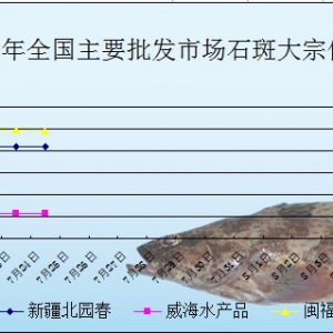 2013��7��24��ȫ����Ҫ���l�Ј�ʯ���~�r������