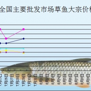 2013��7��29��ȫ����Ҫ���l�Ј����~�r������