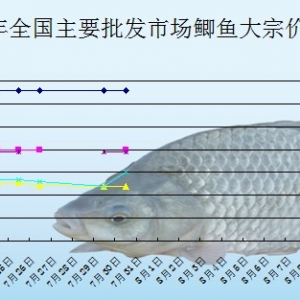 2013��7��30��ȫ����Ҫ���l�Ј��a�~�r������