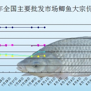 2013��7��31��ȫ����Ҫ���l�Ј��a�~�r������