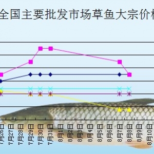 2013��8��8��ȫ����Ҫ���l�Ј����~�r������