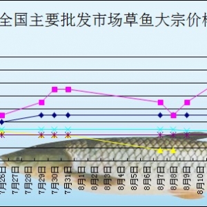 2013��8��13��ȫ����Ҫ���l�Ј����~�r������