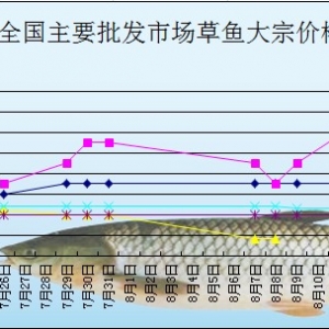 2013��8��14��ȫ����Ҫ���l�Ј����~�r������