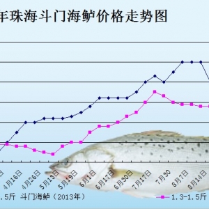 2013��8��19�������ǵ؅^���|���^�r