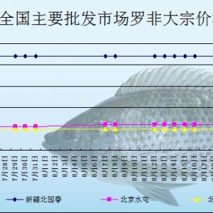 2013��8��21��ȫ����Ҫ���l(f��)�Ј��_���~�r(ji��)������