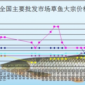 2013��8��23��ȫ��(gu��)��Ҫ���l(f��)�Ј�(ch��ng)���~�r(ji��)������