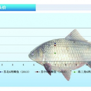 �a�~���Ј��r�񌢱��ָ�λ����ˮ�aǰ�ء�2013��8�¿��Ј�څ��