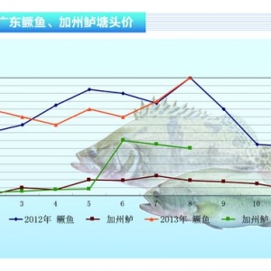 �����|���r(ji��)��ĸ�λС���»�����ˮ�a(ch��n)ǰ�ء�2013��9�¿��Ј�څ��