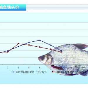 ���~������ˮ�~ ���ڃr���ݘ��^����ˮ�aǰ�ء�2013��9�¿��Ј�څ��