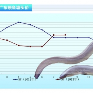 ���~���r��ƽ������ˮ�aǰ�ء�2013��9�¿��Ј�څ��