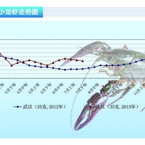 С���r���Ј�����ֱ����������ˮ�aǰ�ء�2013��8�¿��Ј�څ��