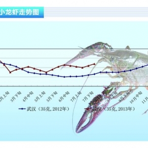 С���r���YԴ�T�� �r���߸ߡ���ˮ�aǰ�ء�2013��9�¿��Ј�څ��