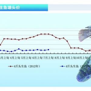 ���~��������Ȼ������ ����p�����ɡ���ˮ�a(ch��n)ǰ�ء�2013��8�¿��Ј�(ch��ng)څ��(sh��)