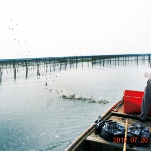 ꖳκ����lз��2100���ľ֣���ô�ƣ�