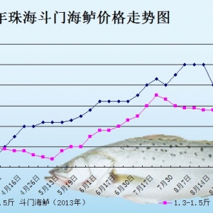 2013��8��25�������ǵ؅^���|���^�r