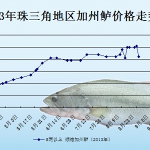 2013��8��25��ȫ�����؅^�����|���^�r