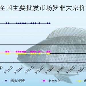 2013��8��28��ȫ����Ҫ���l(f��)�Ј��_���~�r(ji��)������