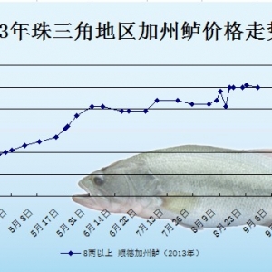 2013��8��29��ȫ�����؅^�����|���^�r