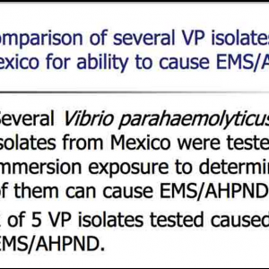 ī���猦�r�_�J��ȾEMS