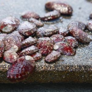 �_���±�ؕ��B�U�a�I��u���K