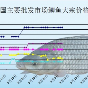 2013��9��6��ȫ����Ҫ���l�Ј��a�~�r������