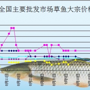 2013��9��17��ȫ��(gu��)��Ҫ���l(f��)�Ј�(ch��ng)���~(y��)�r(ji��)������