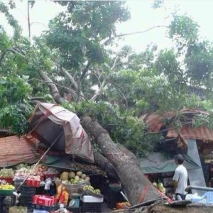 ���ã�40�����ꑻ��|��_�L