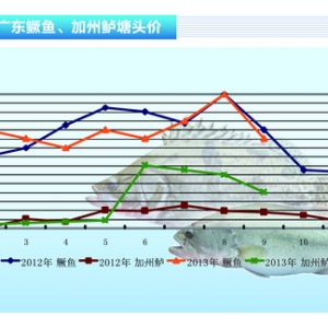 �����|������(y��ng)���� �r(ji��)����䡪��ˮ�a(ch��n)ǰ�ء�2013��10�¿��Ј�څ��
