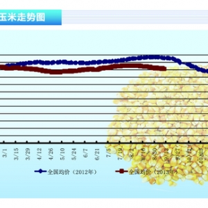 ���ף���(ji��)ǰ�������Ӄr���߸� ���ڹ���(y��ng)�����q�桪��ˮ�a(ch��n)ǰ�ء�2013��10�¿��Ј�څ��