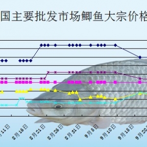 2013��9��30��ȫ����Ҫ���l�Ј��a�~�r������