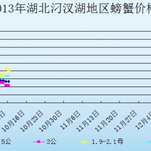 2013��10��9�պ����������з�r(ji��)������