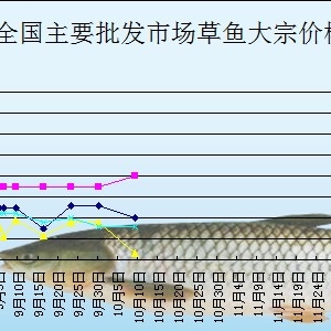 2013��10��9��ȫ����Ҫ���l�Ј����~�r������