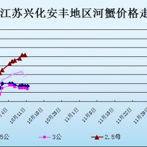 2013��10��11�ս��K�d�����S��з�r(ji��)������