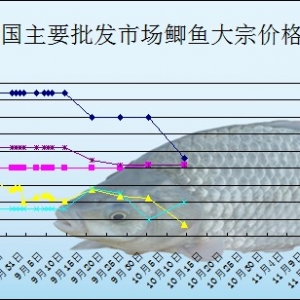 2013��10��11��ȫ����Ҫ���l�Ј��a�~�r������