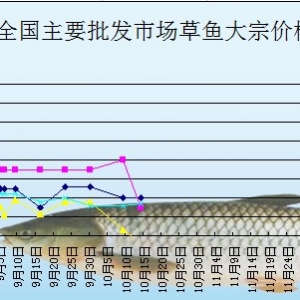 2013��10��15��ȫ����Ҫ���l�Ј����~�r������