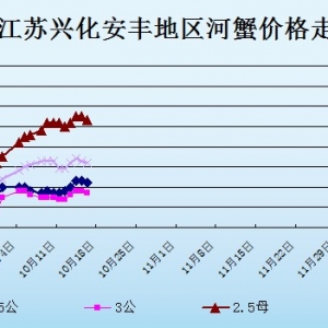 2013��10��16�ս��K�d�����S��з�r������