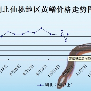 2013��10��16��ȫ���؅^�S�X���^�r