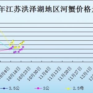 2013��10��17�ս��K��ɺ���з�r������